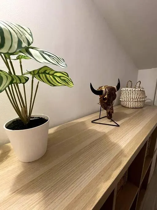 Magnifique Duplex Avec Terrasse Proche De La Plage Málaga